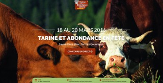 Vignette Tarine et Abondance en fete