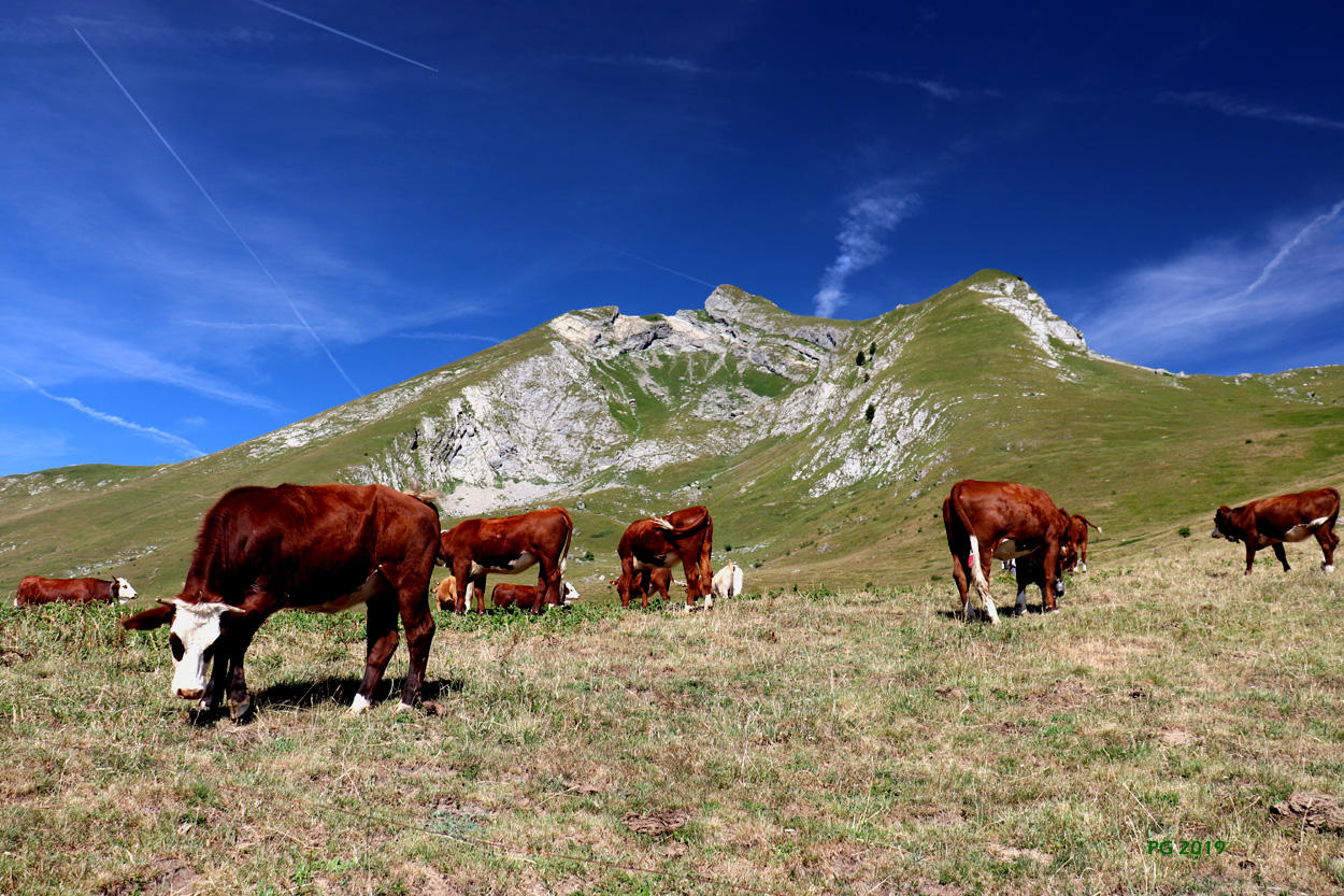 Col de Basse