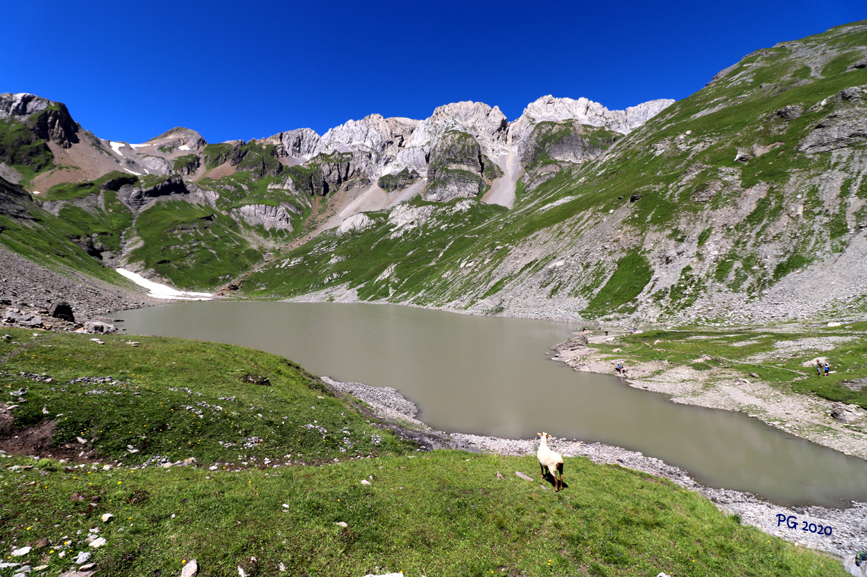 Lac de la Vogealle1