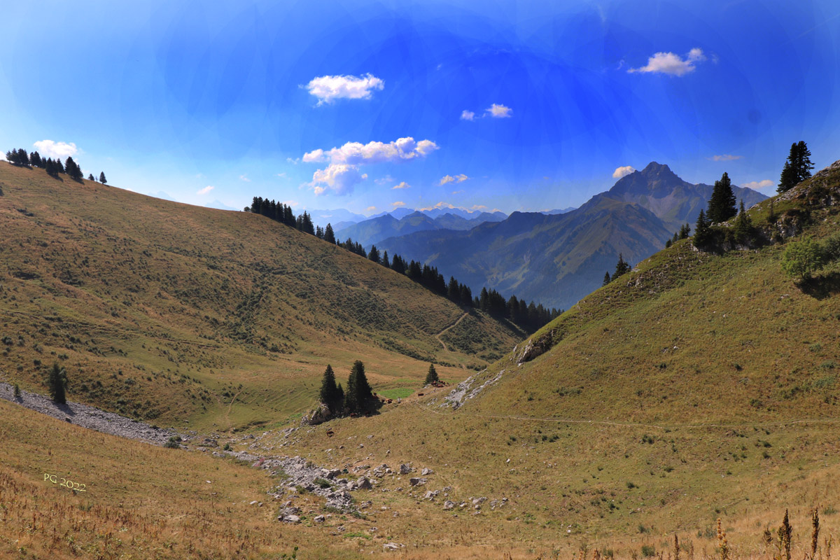 030 Paysage avec MtBlanc en fond