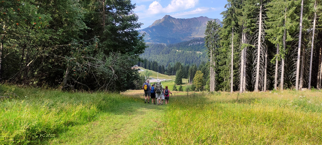 Dans la descente 02