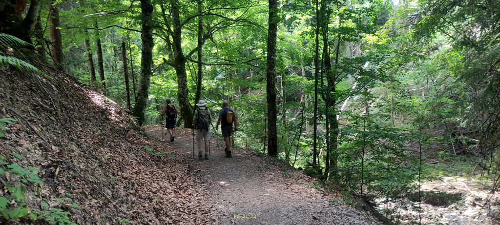 Dans la descente 03