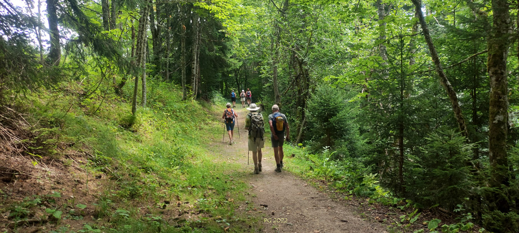 Dans la descente 04