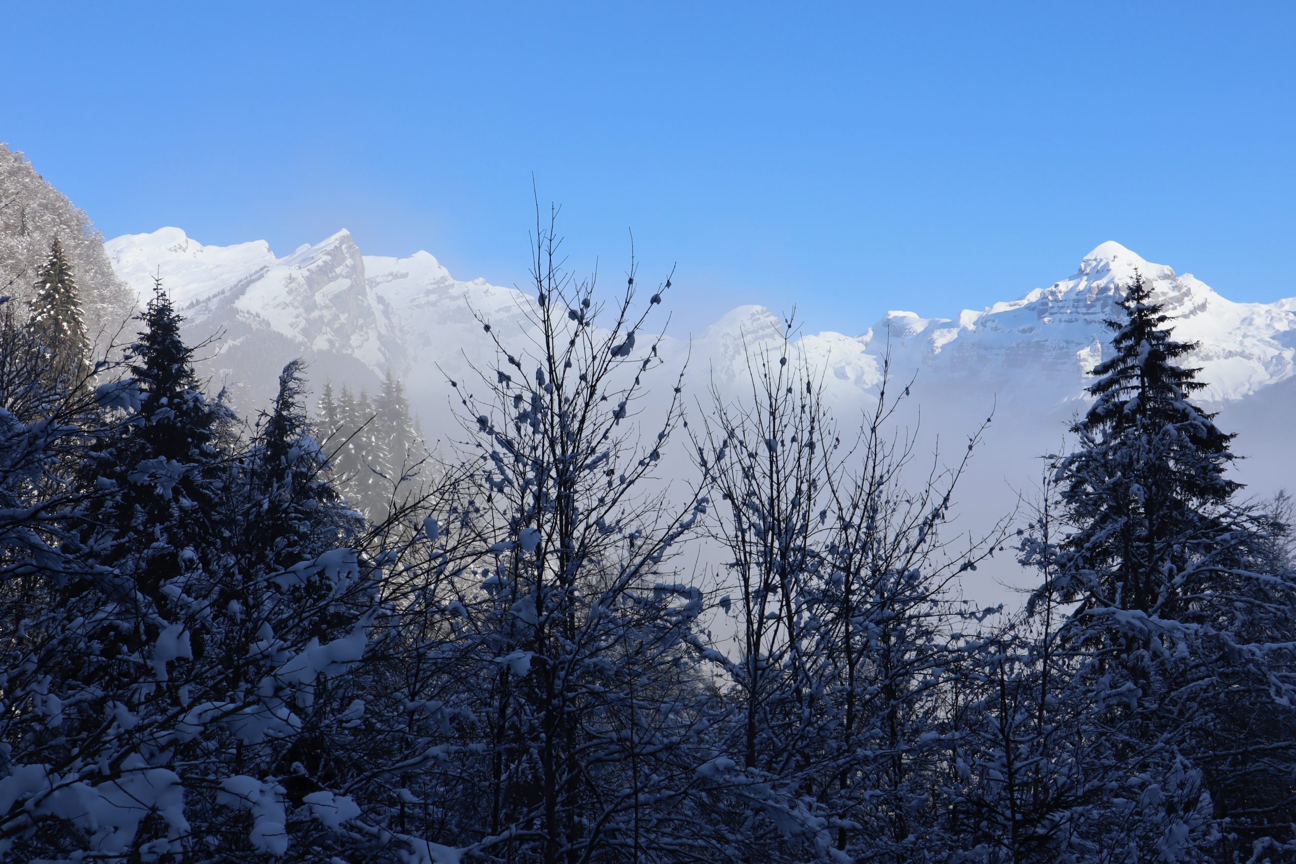 Rando Raquette J2 26 Le brouillard nous guette