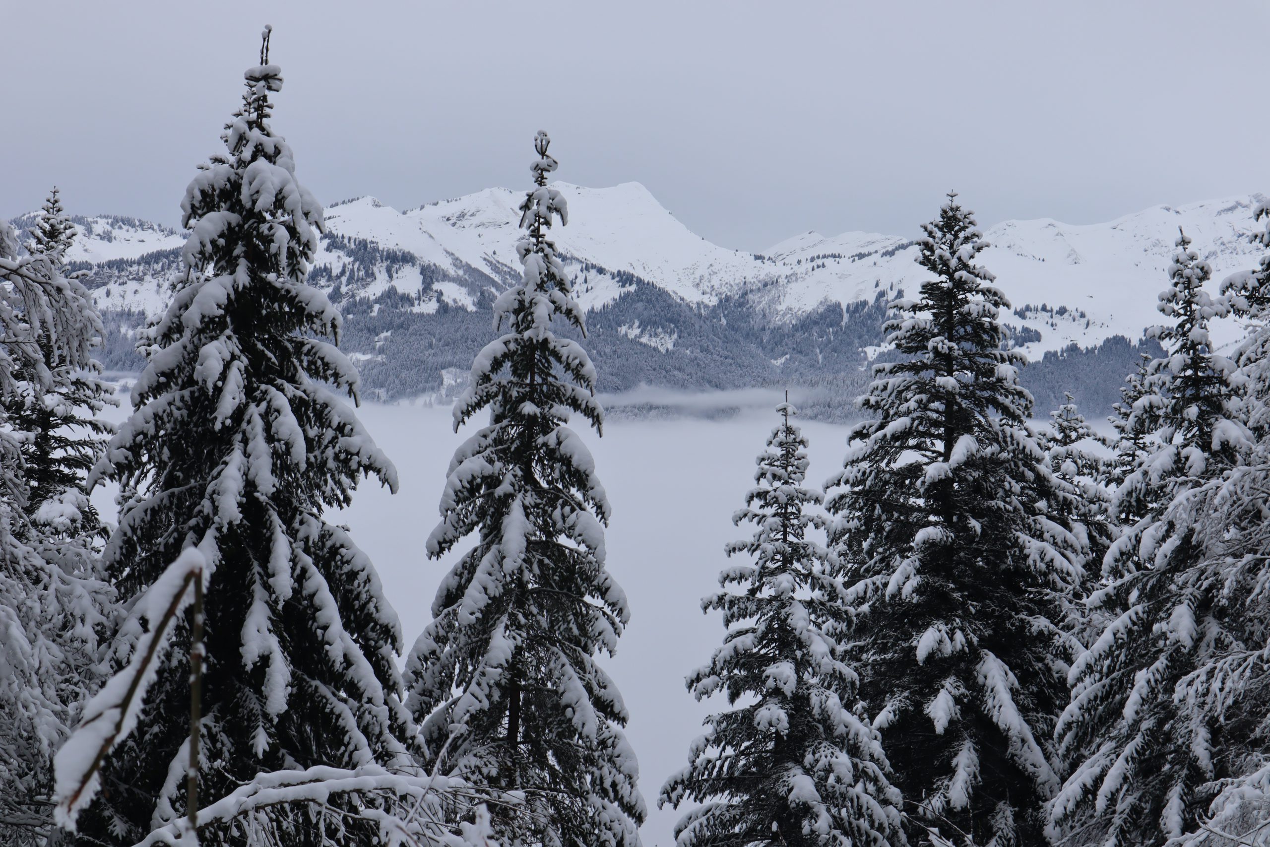 Rando raquette J1 10 mer de nuage sur Samoens